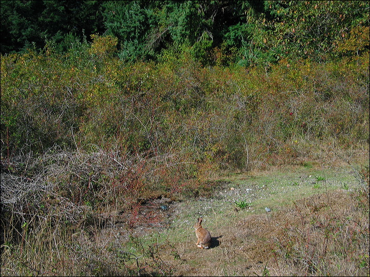 img_1467.jpg