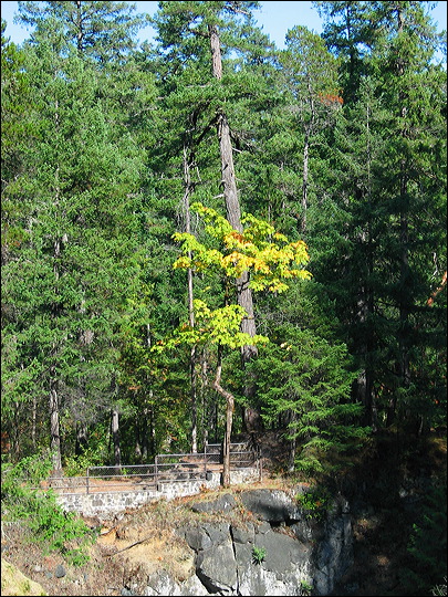 img_1474.jpg