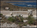 delos_0217_img_2013_5116