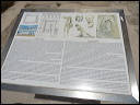 delos_0355_img_2013_5222