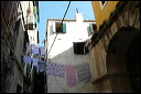 img_2012_jcn_p1130231