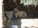 img_2013_3919