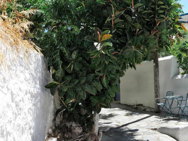 img_2013_4794.jpg