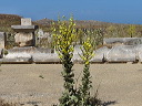 delos_0115_img_2013_4993
