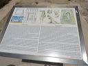 delos_0355_img_2013_5222