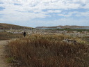 delos_0373_img_2013_5241