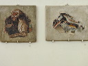 delos_0273_img_2013_5153