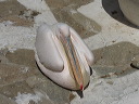 img_2013_5384
