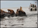 img_2022_3303