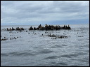 img_2022_3308