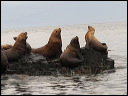 img_2022_3313