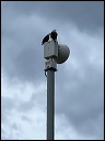 img_2022_3202