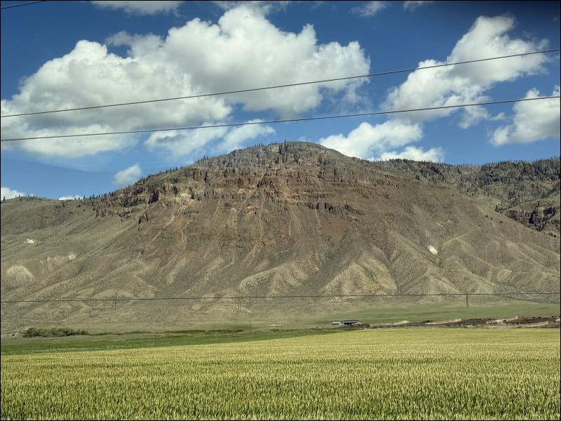 img_2025_1815.jpg
