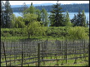 img_2026_island-hop_26718b9