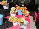 img_2026_island-hop_267196b
