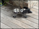 img_2026_island-hop_267197b