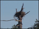 img_2026_island-hop_2671a79