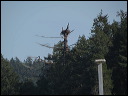 img_2026_island-hop_2671ac4