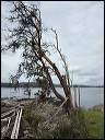 img_2026_island-hop_2671ac8