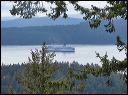 img_2026_island-hop_26cdc58
