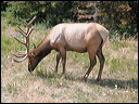 img_0278