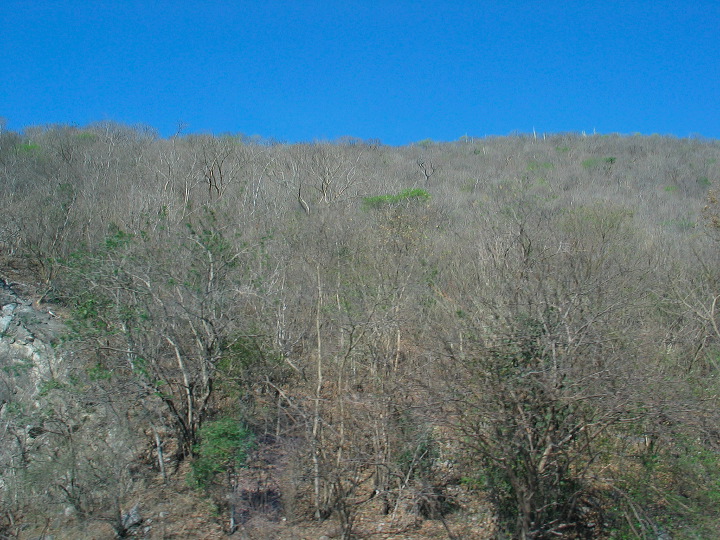 img_4450.jpg