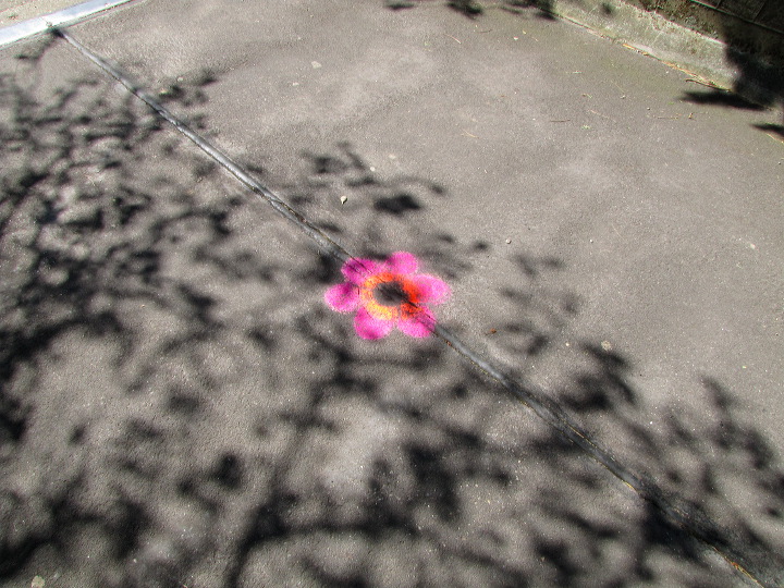 img_5114.jpg