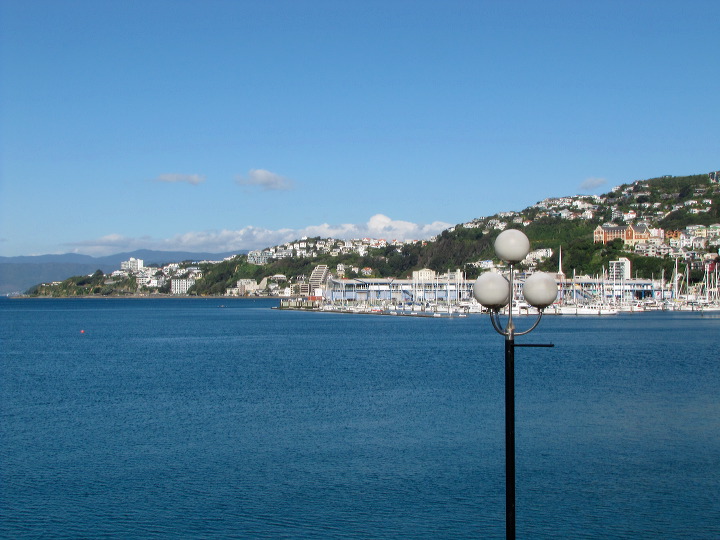 img_5132.jpg