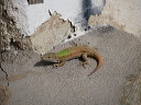 img_2013_5660
